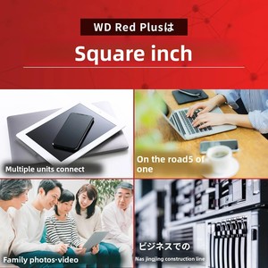 Disque dur interne <span class=keywords><strong>Red</strong></span> <span class=keywords><strong>Plus</strong></span> 6 To CMR 3,5 pouces SATA 5400 tr/min 256 Mo <span class=keywords><strong>NAS</strong></span> (.co.jp Limited) - Product Image 3