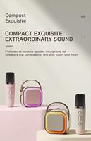 Amplificateur de musique radio karaoké avec microphone, haut-parleurs portables sans fil, haut-parleur Bluetooth karaoké
