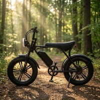 Vélo électrique personnalisé rapide 20 pouces 48V 13Ah avec moteur roue arrière, frein à disque et pneus larges, VTT hybride électrique pour adultes