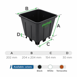 Pot de culture carré respirant en plastique et terre cuite pour serre, idéal pour la plantation de jeunes plants de myrtilles - Product Image 4