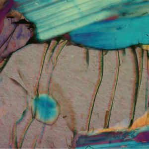 BestScope BS-5064RF excellent <span class=keywords><strong>microscope</strong></span> polarisant trinoculaire pour les laboratoires d'enseignement universitaire - Product Image 3