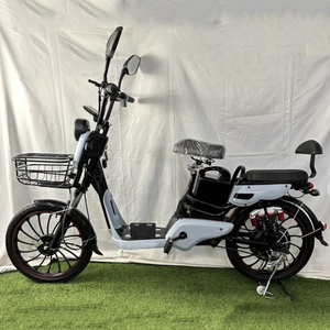 Bicicleta Eléctrica Clásica de 20 Pulgadas para Adultos, Motor Trasero sin Escobillas, Tipo Electrónico Inteligente, Cuadro de Aluminio, Litio 48v 350w, China - Product Image 5