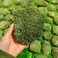 Moss Vente en gros de mousse de renne naturelle préservée produite au Yunnan Dry Bun Moss Décoration des murs