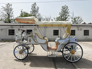 Carruaje Eléctrico Real de Doble Fila Más Vendido en 2025, Carruaje de Boda para Paseos Turísticos, Carruaje de Boda de Doble Función Estilo Cenicienta - Product Image 4