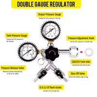 Kit de conversion de bière à double robinet, tour de fût en acier inoxydable avec régulateur à double manomètre, système D/A/S/G, raccord de fût