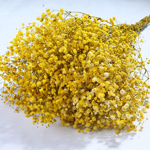 توريد بالجملة لزهور الجيبسوفيلا الطبيعية المجففة والمحفوظة، زهور أنفاس الطفل الأبدية، زهور الملايين من النجوم - Product Image 4