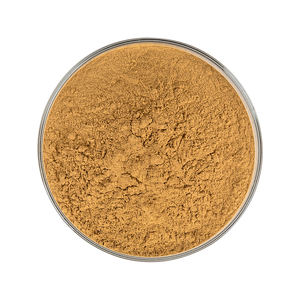 カスタマイズ可能なバルク供給 天然イチョウ葉粉末 24%フラボノイド抽出物 オーガニックハーブサプリメント 脳の健康のため - Product Image 1