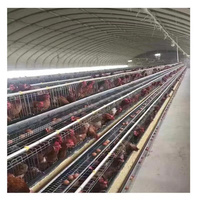 Serres à tunnel professionnelles en Chine avec squelette de tuyau rond pour l'agriculture/pêche/volaille/cochon/vache/mouton/élevage de poulet