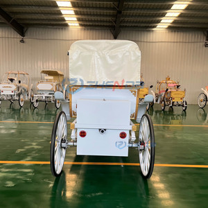 Chariot de luxe royal à quatre roues, trois rangées de sièges touristiques, 2-11 places, pour parc d'attractions extérieur, à vendre - Product Image 3