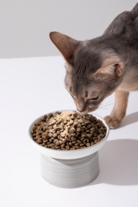 Complément Alimentaire pour Chats Lovovidovi : Poudre d'Œuf pour Soulager les Allergies, Neutralise les Allergènes Fel D1, D2, D4, Lot de 30, Service Personnalisable - Product Image 3