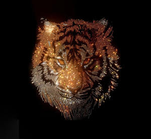 <span class=keywords><strong>Abbigliamento</strong></span> corto con Logo personalizzato di alta qualità con motivi in ferro a trasferimento termico e Design con strass - Product Image 1