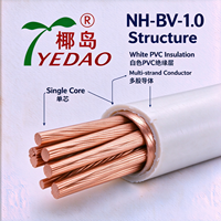 Kabel Tembaga Multi-strand NH-BV-1.0 1.0mm2 Putih Berisolasi PVC Tahan Api untuk Instalasi Listrik Bangunan