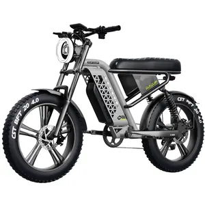 2024 NEW Model 20'' Electric Bicycle 1000W Electric Bike 48V 15AH Removable Lithium Battery 20 Inch Fattire Ebike Beach Ebike