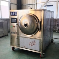 Industriële vacuümvriesdroger lyofilisator 50kg/batch voor voedsel, fruit, vlees, groenten, CE-gecertificeerd, fabrieksprijs
