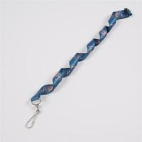 CH Wholesale Sublimation Printing Polyester Lanyards With Logo Custom Certification Keychain OEM ODM ECO Promotion Event Gifts