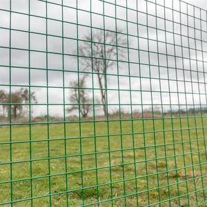 Lage Prijs 6 Gauge Gelaste Gaasafrastering <span class=keywords><strong>4X4</strong></span> Groen Pvc Gecoat Gelast Gaas - Product Image 3