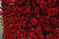 QSLH Ti387 extérieur événement décor 3d Rose bordeaux fleur mur toile de fond 8ft x 8ft toile de fond soie artificielle fleur décorative mur
