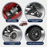 Tarion, Vehículo Turístico Clásico Eléctrico Vintage de 11 Plazas, Motor de Corriente Alterna de 4.0KW, Autonomía de 80-100km, para Atracciones Turísticas en China