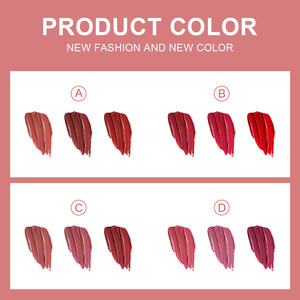 DRAGON RANEE 3Pcs <strong>Lip</strong> Glaze Velvet Matte Liquid Lipstick Set Orange Milk Tea Bean Paste Non-sticky <strong>Lip</strong> Gloss Tint Cosmetics - Product Image 4