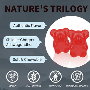 Shilajit gummies สมุนไพรธรรมชาติบริสุทธิ์ที่ออกแบบมาอย่างดีอาหารเสริมเสริมภูมิคุ้มกันสำหรับผู้ใหญ่ที่มีหน่วยความจำโฟกัสให้ประโยชน์รูปแบบลูกอม - Product Image 4