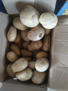 Pommes <span class=keywords><strong>de</strong></span> <span class=keywords><strong>terre</strong></span> fraîches <span class=keywords><strong>de</strong></span> la nouvelle récolte 2025 <span class=keywords><strong>de</strong></span> Chine, pommes <span class=keywords><strong>de</strong></span> <span class=keywords><strong>terre</strong></span> normales à bon prix - Product Image 3