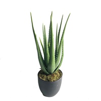 Vente en gros de bonsaï succulentes plantes vertes en pot plante en plastique presque naturelle bonsaï décoration artificielle plante d'aloès vert