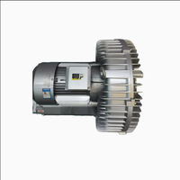 Souffleur annulaire à canal latéral 18,5 kW/21,3 kW, fabricant chinois, CE IP55, pour l'aquaculture