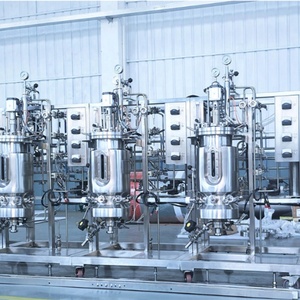 Đáp ứng các GMP tiêu chuẩn bioreactor Glass bioreactor/đa chức năng fermetor/di động văn hóa bioreactor - Product Image 5