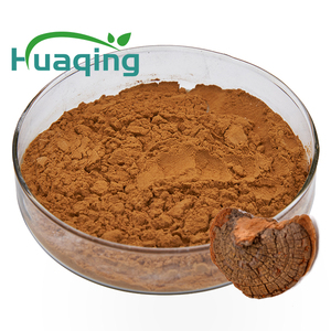 Extrait de champignon chaga tibétain 100% naturel, <span class=keywords><strong>polysac</strong></span>, 20:1 - Product Image 2