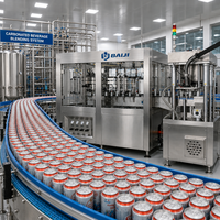 Ligne de production de remplissage isobare entièrement automatique pour boissons énergisantes gazeuses en canettes de 500 ml, 4000 canettes par heure