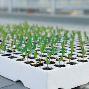 Khay ươm hạt giống bằng xốp xốp cách nhiệt UPuper, 240 ô, dùng cho rau trồng trong nhà kính - Product Image 6