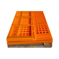 Panneau de criblage modulaire en PU à taux de criblage élevé, résistant à l'usure, avec ouverture personnalisable pour l'extraction minière