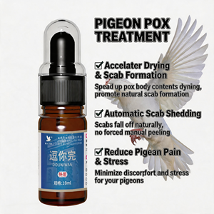 Elimina Eficazmente la <span class=keywords><strong>Viruela</strong></span> <span class=keywords><strong>Aviar</strong></span>, Curación de Lesiones Cutáneas, Recuperación Natural y Segura, Uso Externo para <span class=keywords><strong>Aves</strong></span> de Corral, para Palomas, 10 ml/botella - Product Image 3