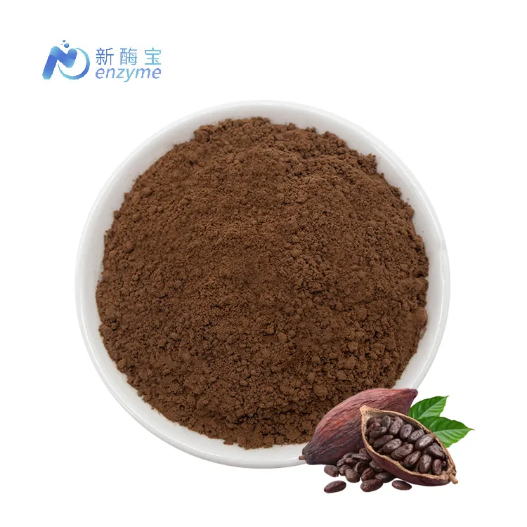 Giá bán buôn số lượng lớn alkalized bột ca cao 25kg nguyên Cacao bột hữu cơ Cacao bột