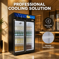 Congélateur vertical double porte personnalisé de 600 L avec dégivrage automatique pour supermarché, épicerie, boissons et stockage frigorifique