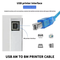 Câble d'imprimante USB 2.0 bleu haute vitesse Xput 480 Mbps, type A mâle vers type B mâle, cordon de transfert de données, plusieurs longueurs 0,3-10 m