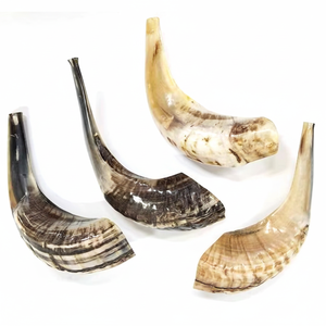 Shofar judío tradicional de sonido fuerte-100% Artesanía hecha a mano para Rosh Hashanah - Product Image 1