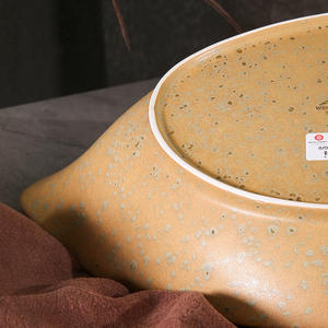 WEIYE-Platos de cerámica esmaltados de color ovalado para servir ensalada de pasta profunda, platos fríos para restaurante - Product Image 4