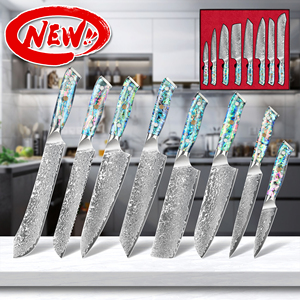 10 % de réduction sur les ensembles de couteaux de cuisine <span class=keywords><strong>Ernesto</strong></span> avec logo personnalisé, manche en acrylique et coquille d'ormeau, couteaux de cuisine commerciaux, ensembles de couteaux Damas VG-10 - Product Image 1