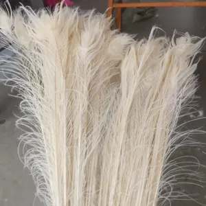 wholesale real dyed large feather craft cheap party decoration black natural white peacock feathers for wedding decorations