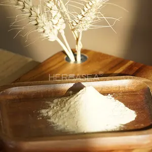 Herbasea Fermented Wheat Germ Extract Powder 0.2% 0.5% 1% 99% Spermidine