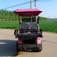 Voiture de golf électrique rose clair 4 places, nouveau modèle, voiture de chasse électrique en métal pour conduite normale, différent modèle 48V GCC Club Car