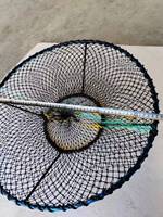 Piège pliable en HDPE pour escargots et crevettes, idéal pour l'aquaculture et la pêche en mer
