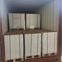 Hojas de Papel Bristol Bond de Primera Calidad con Revestimiento de Doble Cara, Anti-Rizo, 400g, Ecológicas, para Pósters, Gráficos y Diseño Gráfico