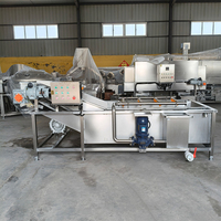 Continue bubbelwasmachine voor groenten en fruit voor automatische voedselverwerkingslijn