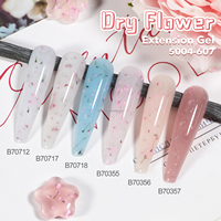 DZ NAIL 2026 NOUVEAU Gel d'extension pour ongles à fleurs séchées SANS HEMA, Gel UV LED à retirer par trempage pour extension d'ongles à fleurs séchées OEM ODM