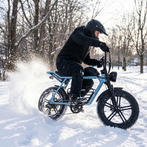 Bicicleta Eléctrica de Neumáticos Anchos para Paseos de Ocio con Baterí<span class=keywords><strong>a</strong></span> Extraíble, Bicicleta Eléctrica Retro de Doble Asiento para Picnic en el Parque y <span class=keywords><strong>Viajes</strong></span> Familiares - Product Image 2