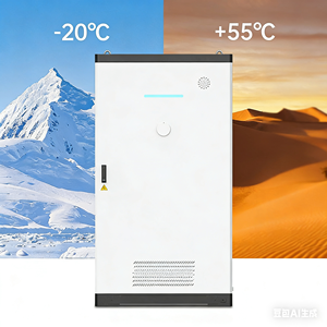 Sistema de Almacenamiento de Energía Solar Fuera de la Red/Conectado a la Red de Fosfato de Hierro y Litio de 50 Kw Bess para Uso Industrial y Comercial - Product Image 2