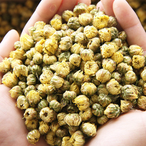 Té de Flores Secas 100% Natural, Capullos de Crisantemo, Té de Hierbas Secas <span class=keywords><strong>Taiju</strong></span> Hua - Product Image 6