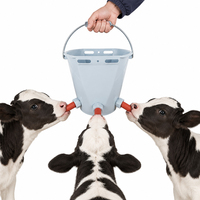 Ember Susu Sapi/Anak Sapi Plastik 8L dengan Dot